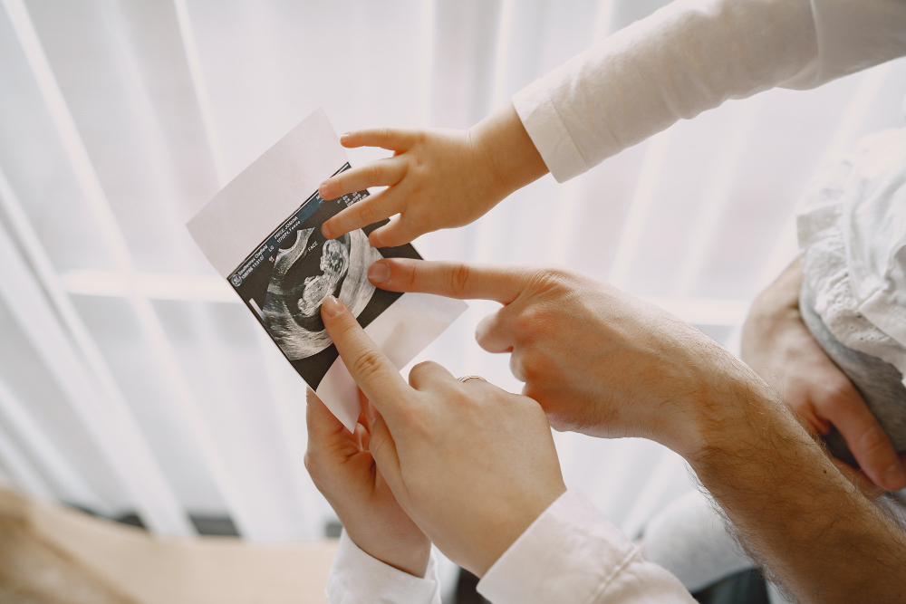 The 2026 Tech Revolution in Embryology