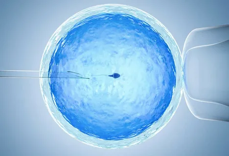 IVF in Armenia: Understanding Your Fertility Treatment Options